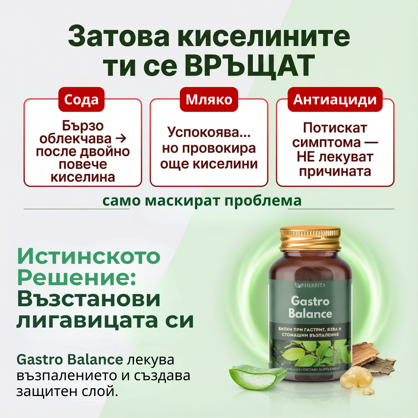 Gastro Balance - Билки за гастрит, язва и колит