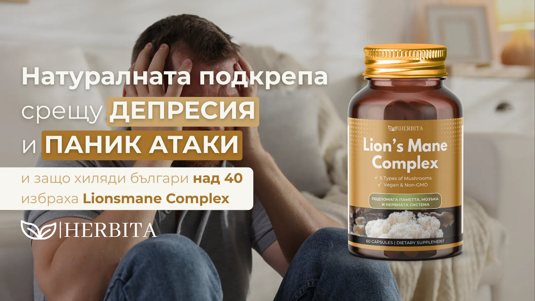 Натуралната подкрепа срещу депресия и паник атаки – и защо хиляди българи над 40 избраха Lionsmane Complex