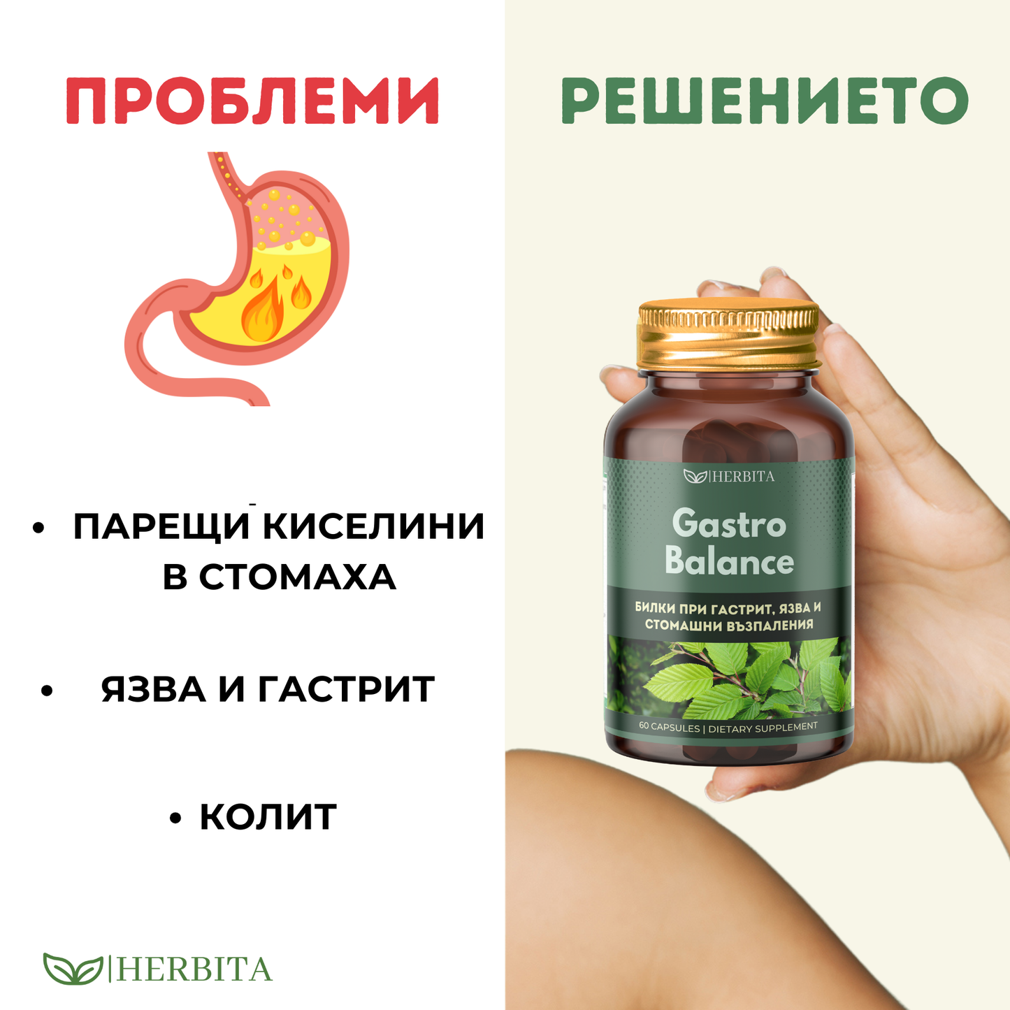 Gastro Balance - Билки за гастрит, язва и колит