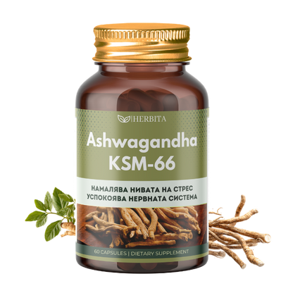 Ashwagandha KSM-66 - При стрес, тревожност и безсъние