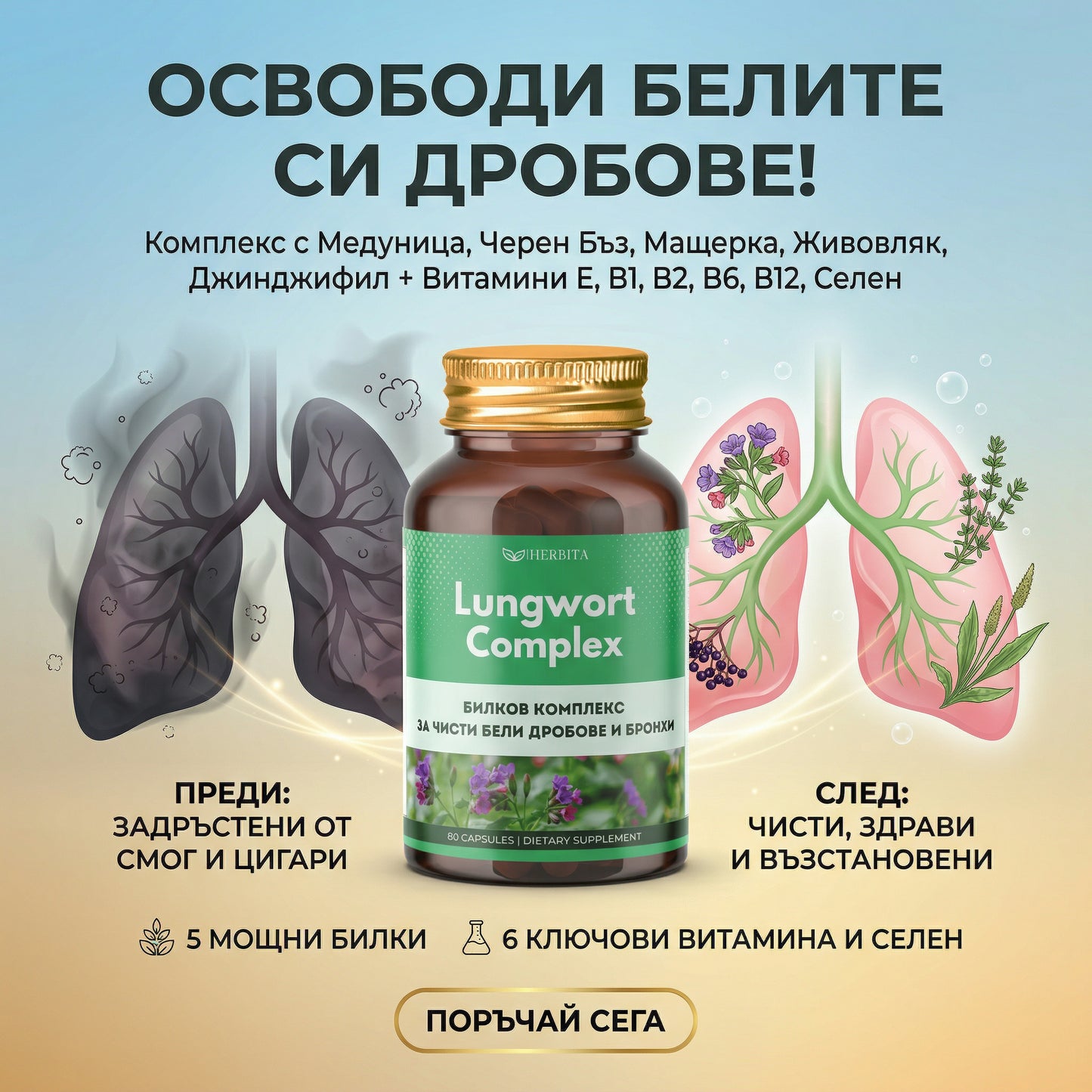 Lungwort Complex - За чисти бели дробове и бронхи