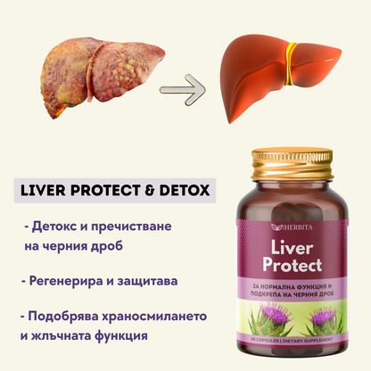Liver Protect - За омазнен и натоварен черен дроб