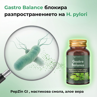 Gastro Balance - Билки за гастрит, язва и колит