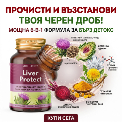 Liver Protect - За омазнен и натоварен черен дроб