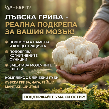 Lions Mane Complex - За Памет и мозъчна активност