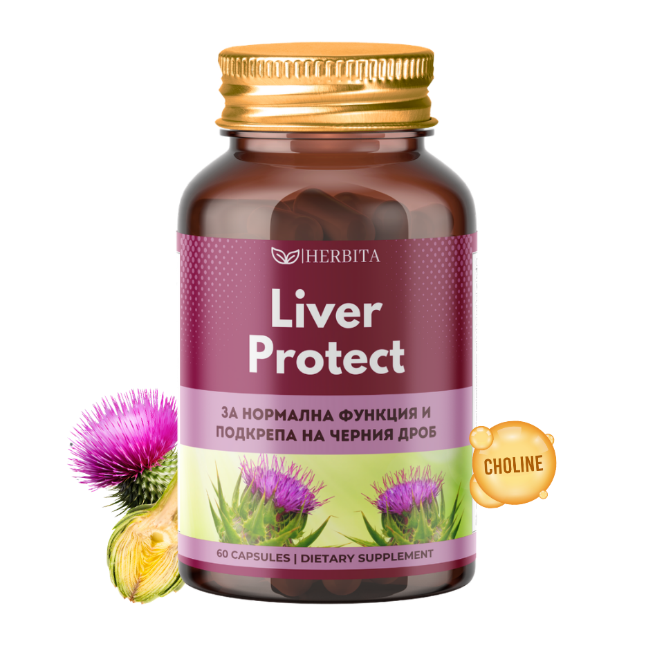 Liver Protect - За омазнен и натоварен черен дроб
