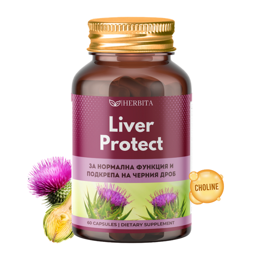 Liver Protect - За омазнен и натоварен черен дроб