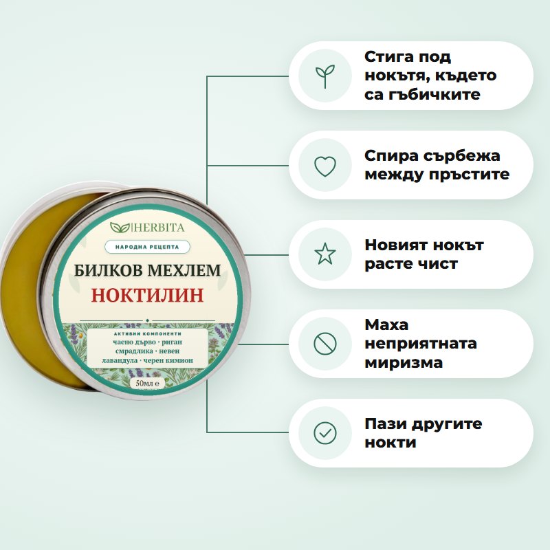 Какво прави НОКТИЛИН